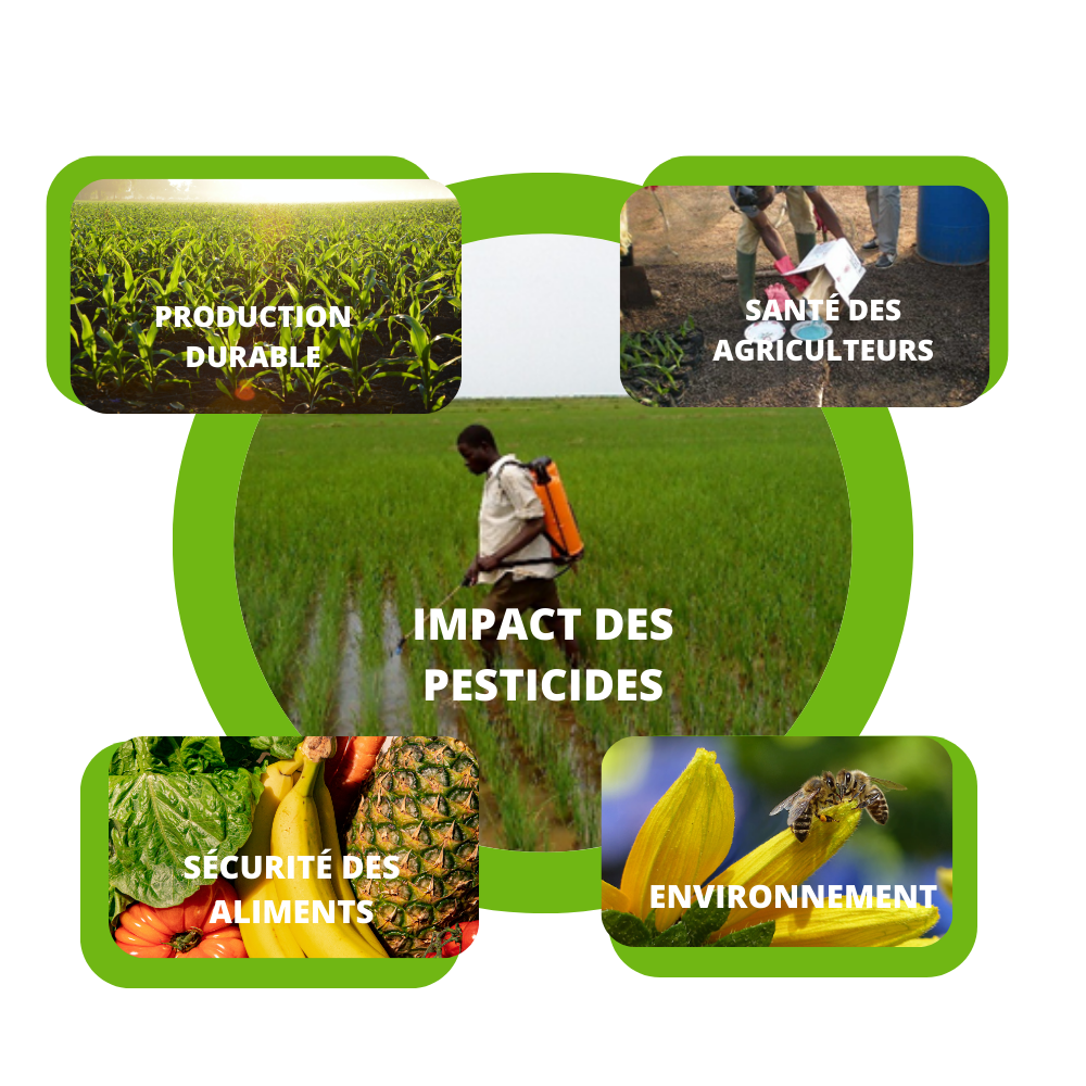 Pesticides in agriculture